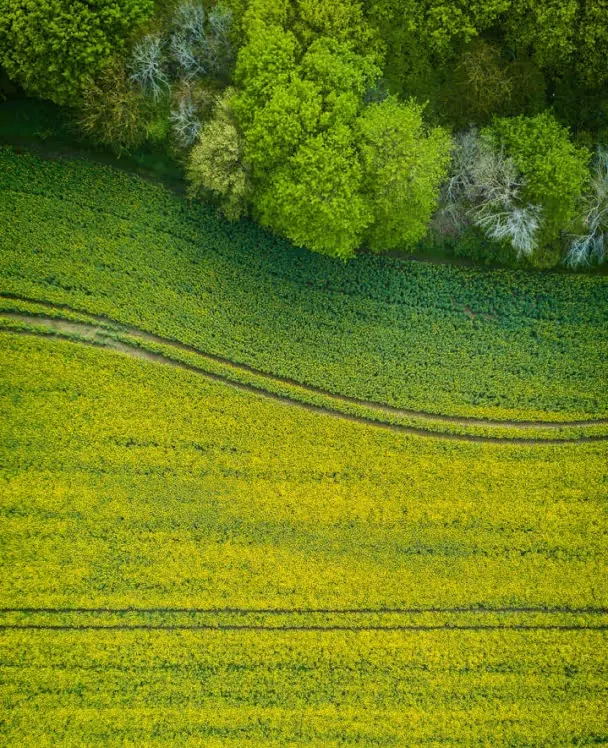 Grundstücke – landwirtschaftliche Flächen und unbebaute Grundstücke